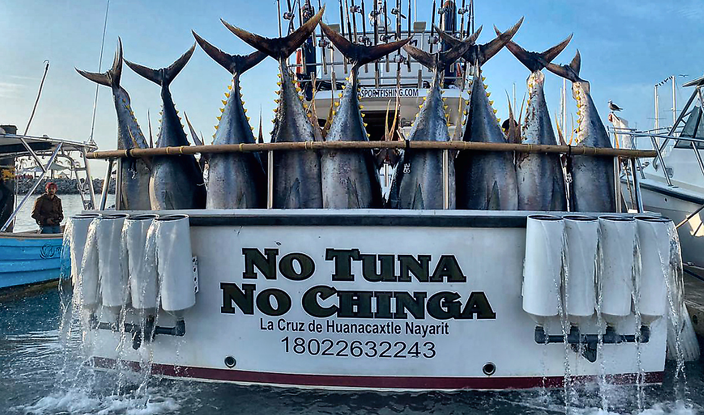 A dozen yellowfin tuna hung across the transom of No Tuna No Chinga at the dock in La Cruz de Huanacaxtle